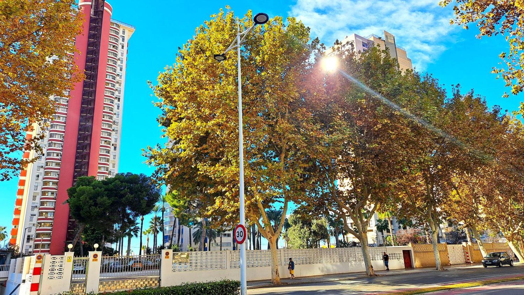 Las Damas - 23 B, Primera Linea, Playa Levante Бенідорм Екстер'єр фото